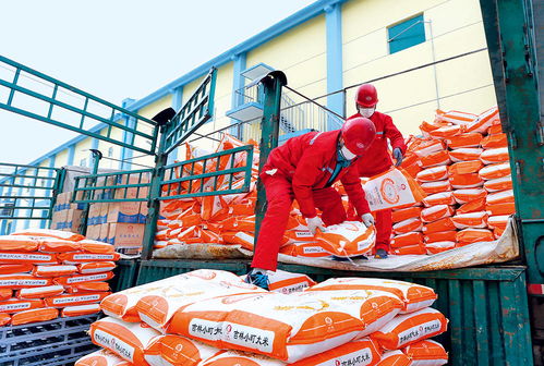 瞭望 扶貧要避免政策沒了,企業(yè)走了,項(xiàng)目黃了 專訪首農(nóng)食品集團(tuán)董事 首農(nóng)股份公司董事長尹彥勛