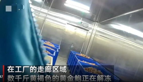 觸目驚心！大連海產品加工廠曝光2大食品黑科技，消費者需警惕識別
